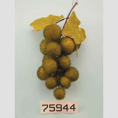 6089501