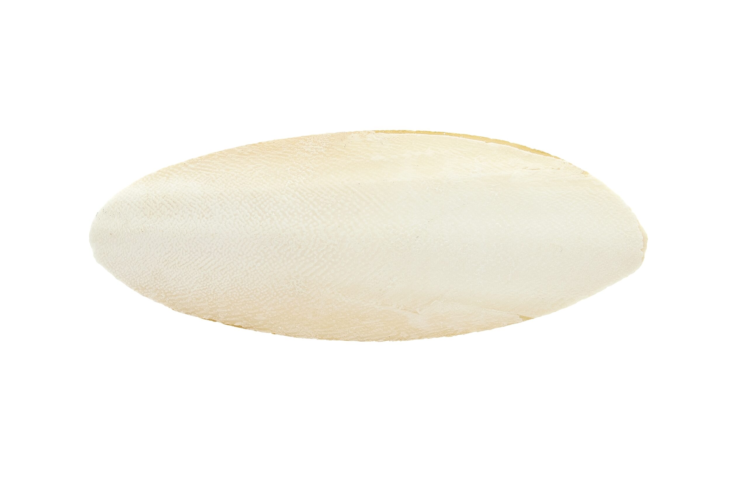 ACV29
