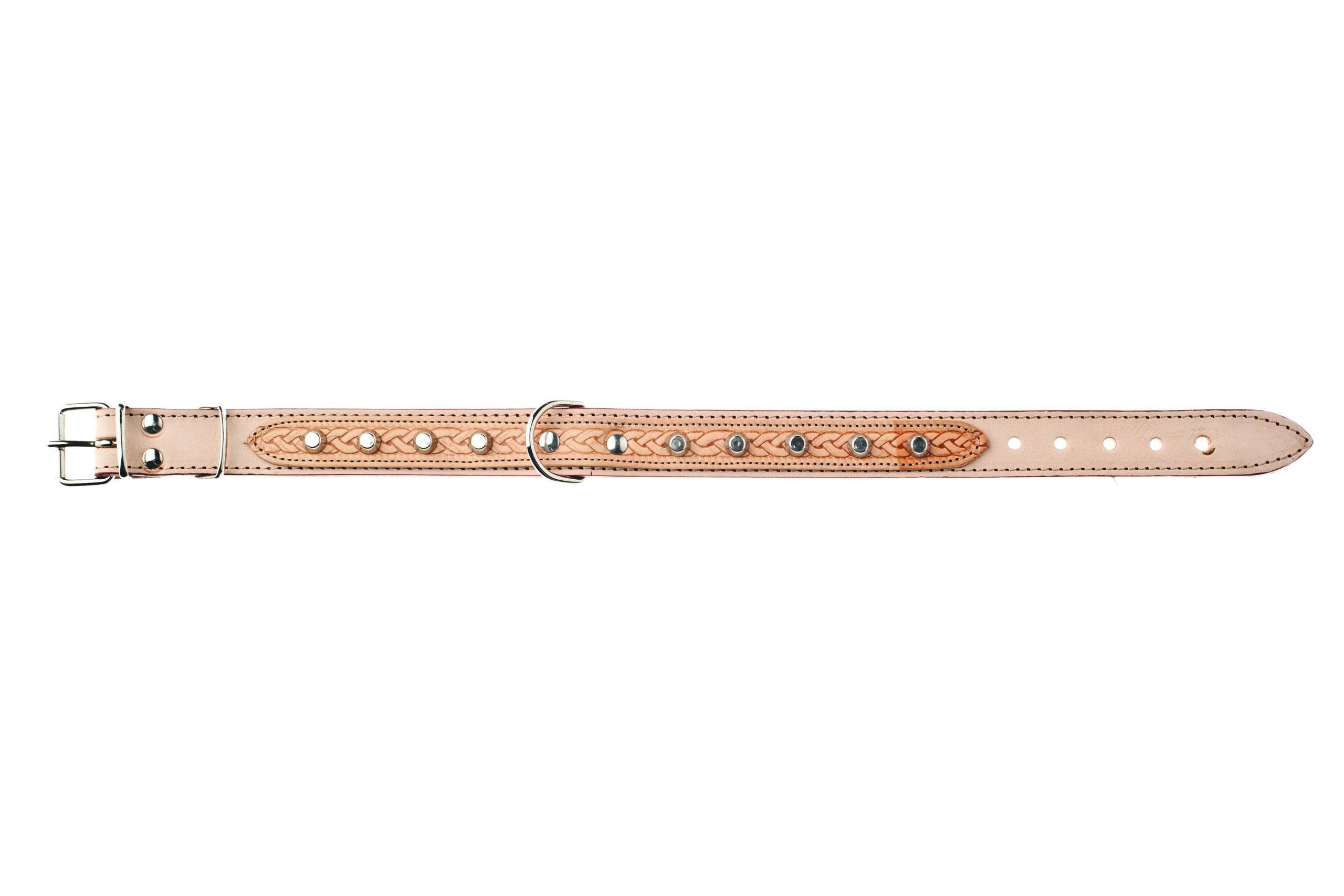 CM19